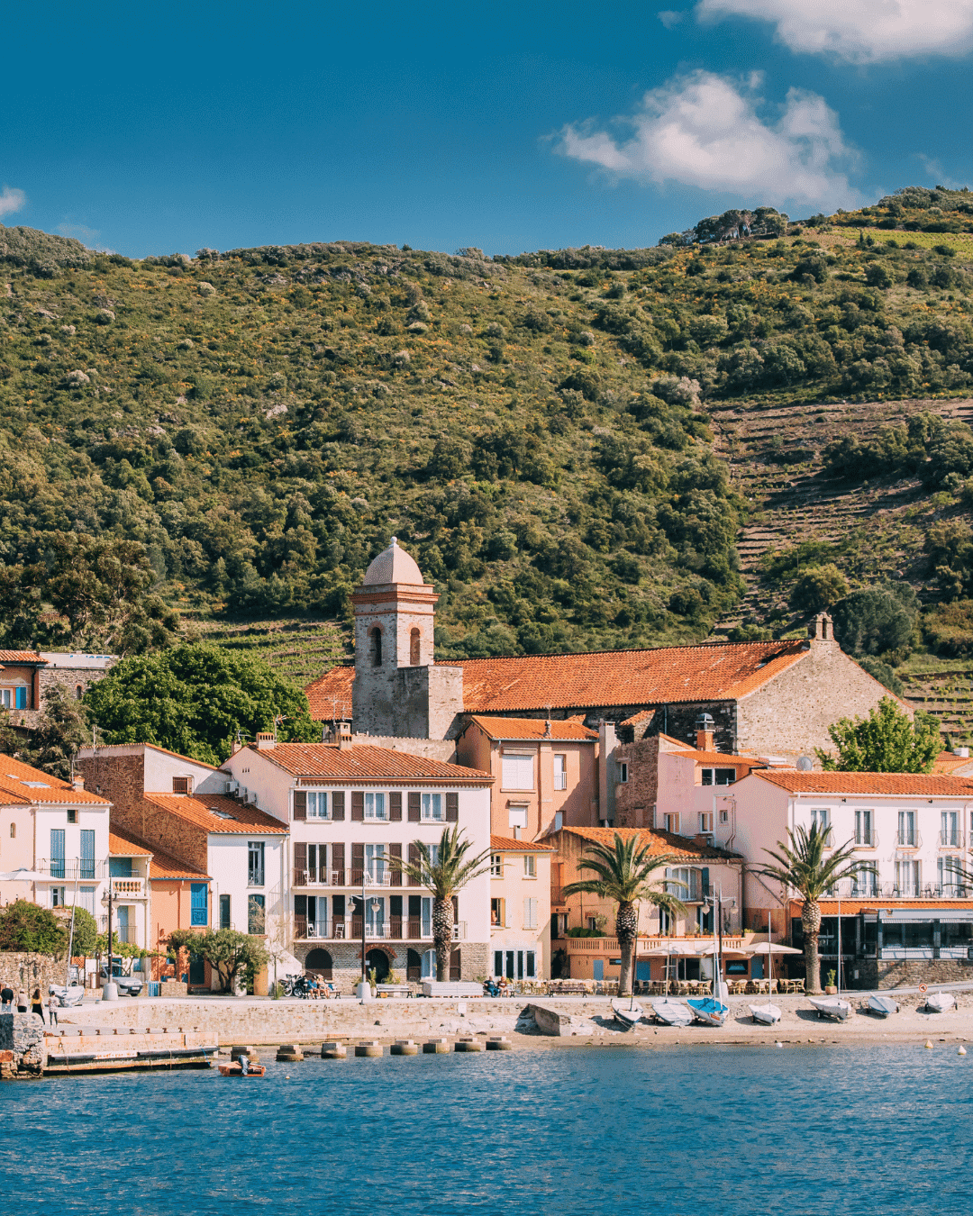 Southern France · Collioure