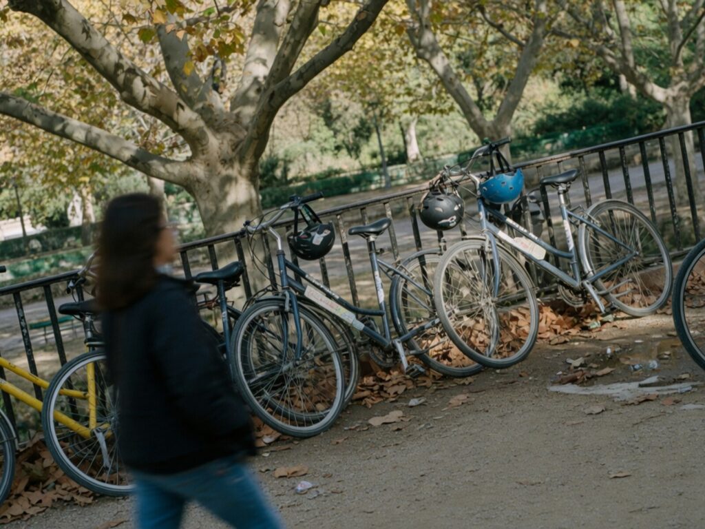 City bikes parked under plane trees, helmets hanging from the handlebars