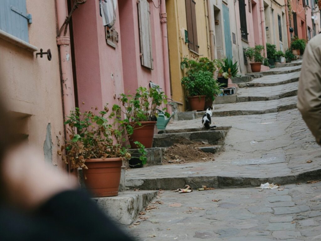 A cat on the steps of a narrow street lined with pastel houses and potted plants